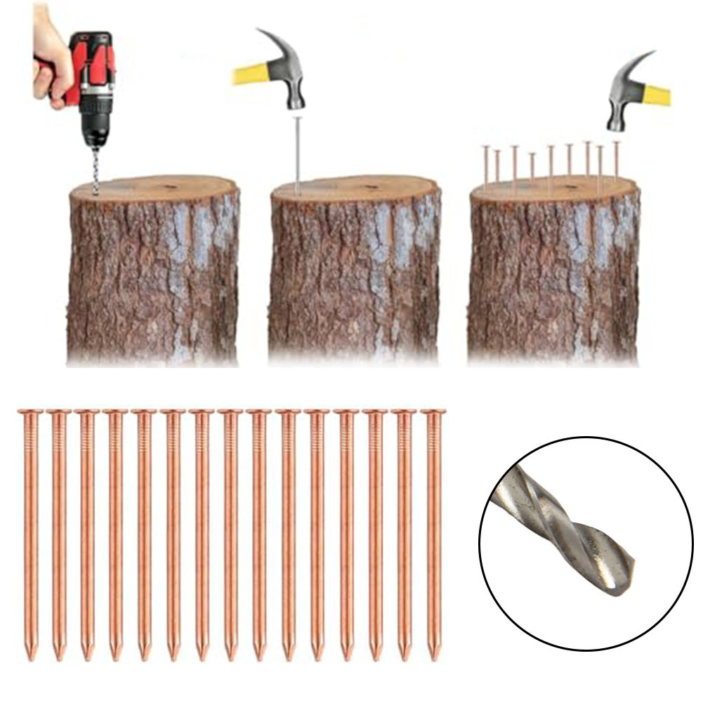 Paku Tembaga Padat 2-Inci Untu - Gardening Tools Target ulasan dan harga