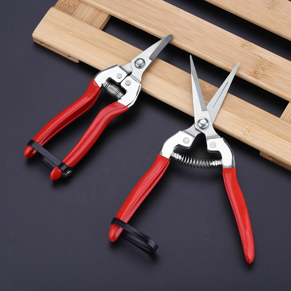 Kokoh pohon buah Bonsai guntin - Gardening Tools Pink ulasan dan harga