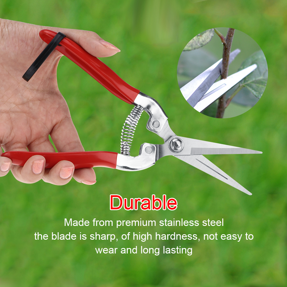 Kokoh pohon buah Bonsai guntin - Gardening Tools Pink ulasan dan harga