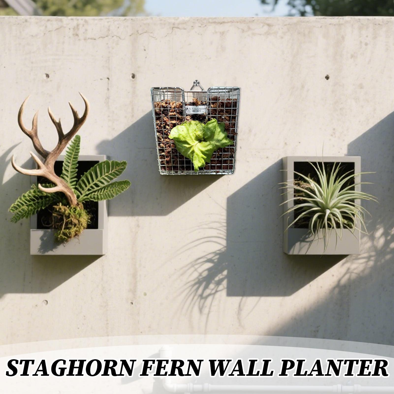 Kit Pemasangan Pakis Rusa dari - Vertical Wall Planter ulasan dan harga