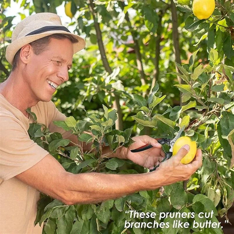 Gunting Pemangkas Multifungsi  - Gardening Tools Sharp ulasan dan harga