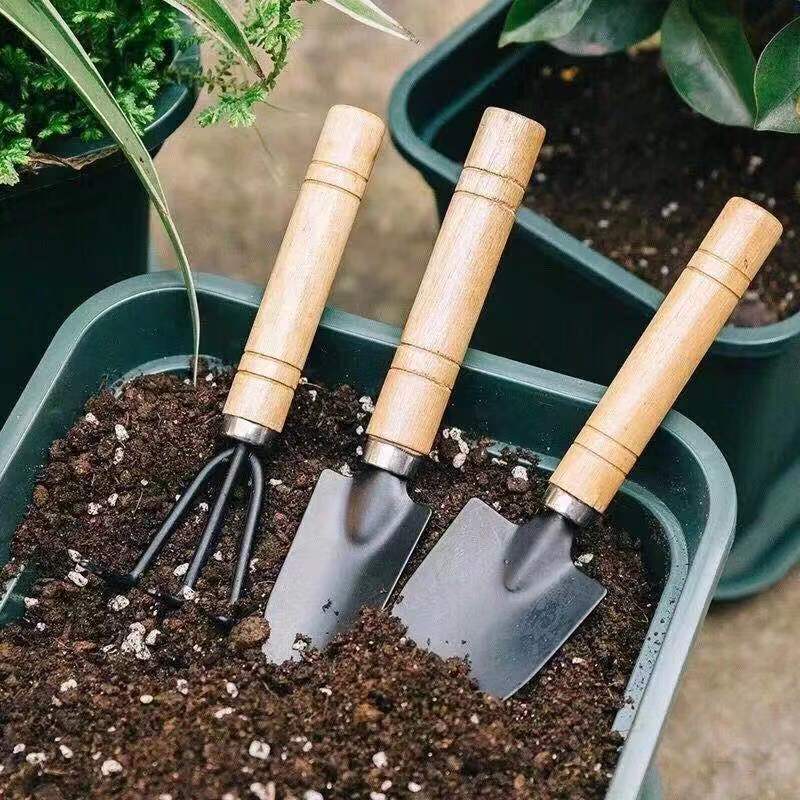 3 Buah/1Set Set Alat Berkebun  - Gardening Tools Gifts ulasan dan harga