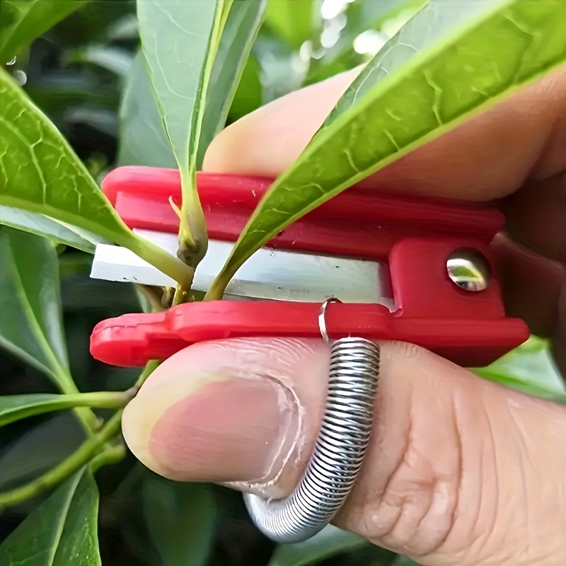 1 Buah Gunting Berkebun untuk  - Gardening Tools Pink ulasan dan harga