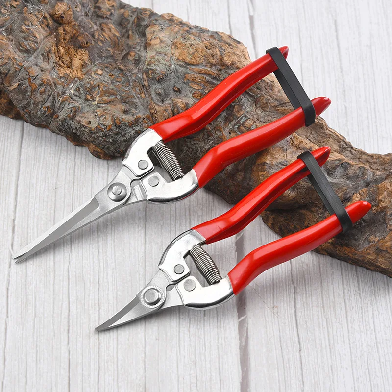 Gunting pangkas baja tahan kar - Gardening Tools Pink ulasan dan harga