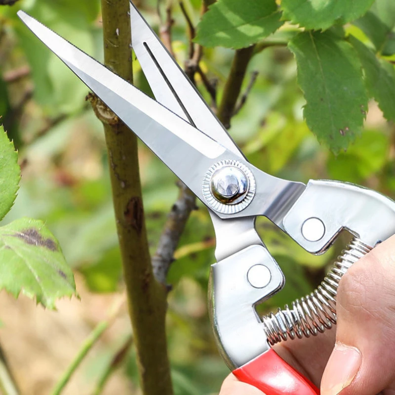 Gunting pangkas baja tahan kar - Gardening Tools Pink ulasan dan harga