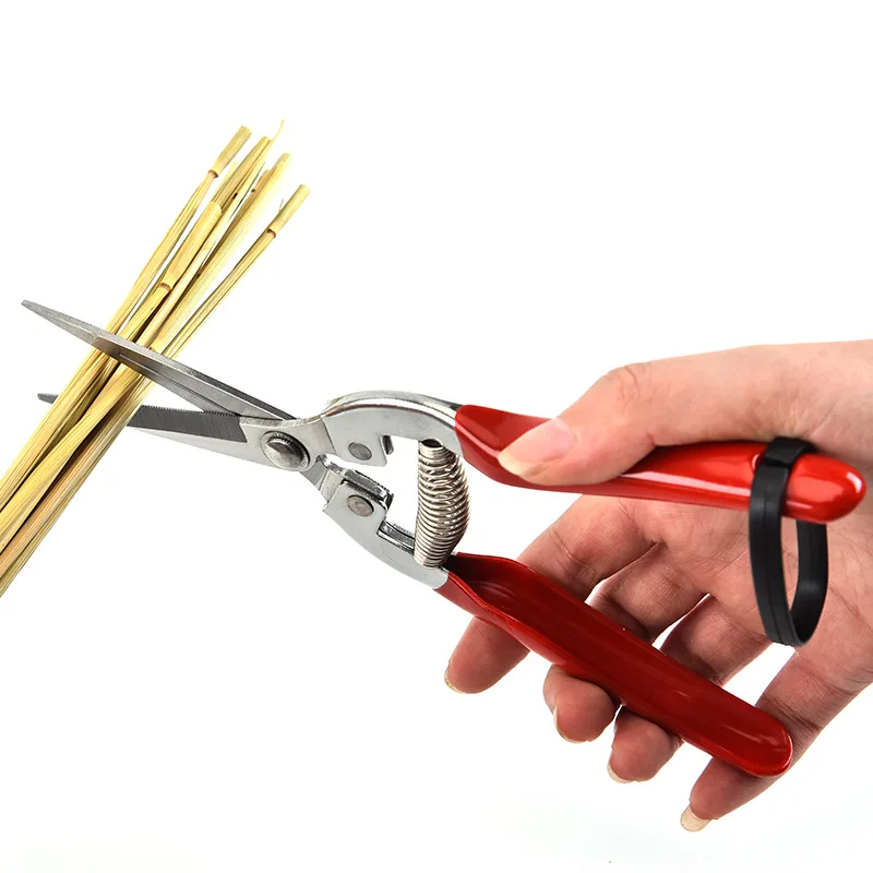 Gunting pangkas baja tahan kar - Gardening Tools Pink ulasan dan harga