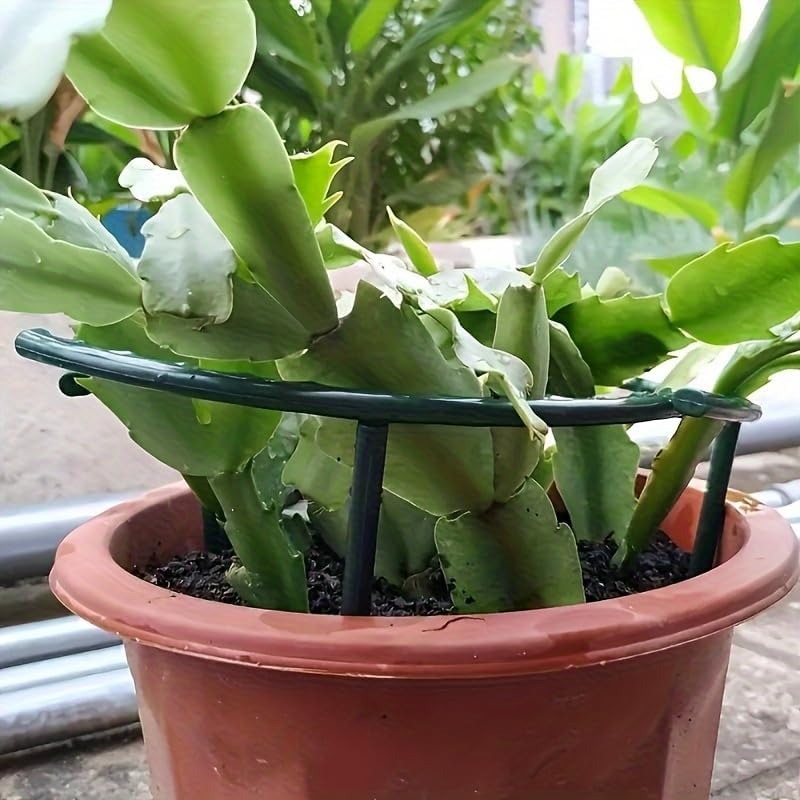 30-1 Buah Penyangga Tanaman Pl - Gardening Tools Gifts ulasan dan harga