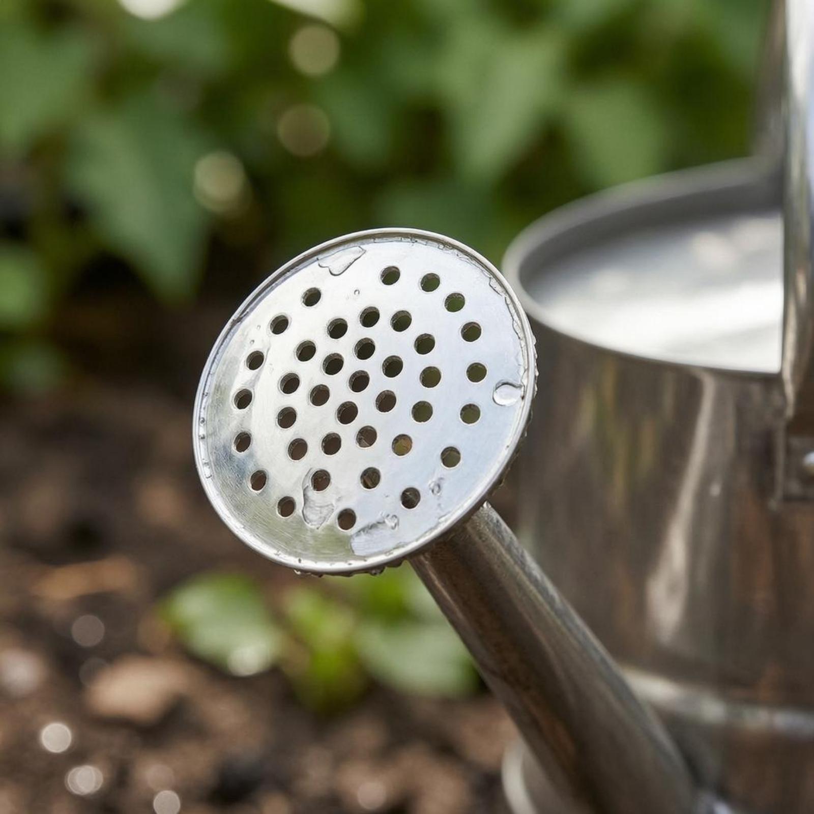 Alat Penyemprot Air Bunga Tama - Gardening Tools Watering Can ulasan dan harga