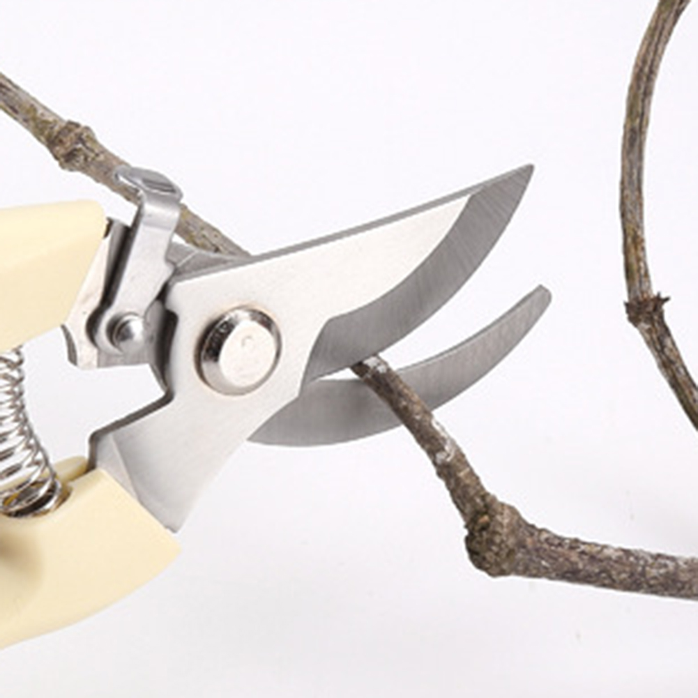 Pruner gunting tangan Bonsai,  - Gardening Tools Pink ulasan dan harga