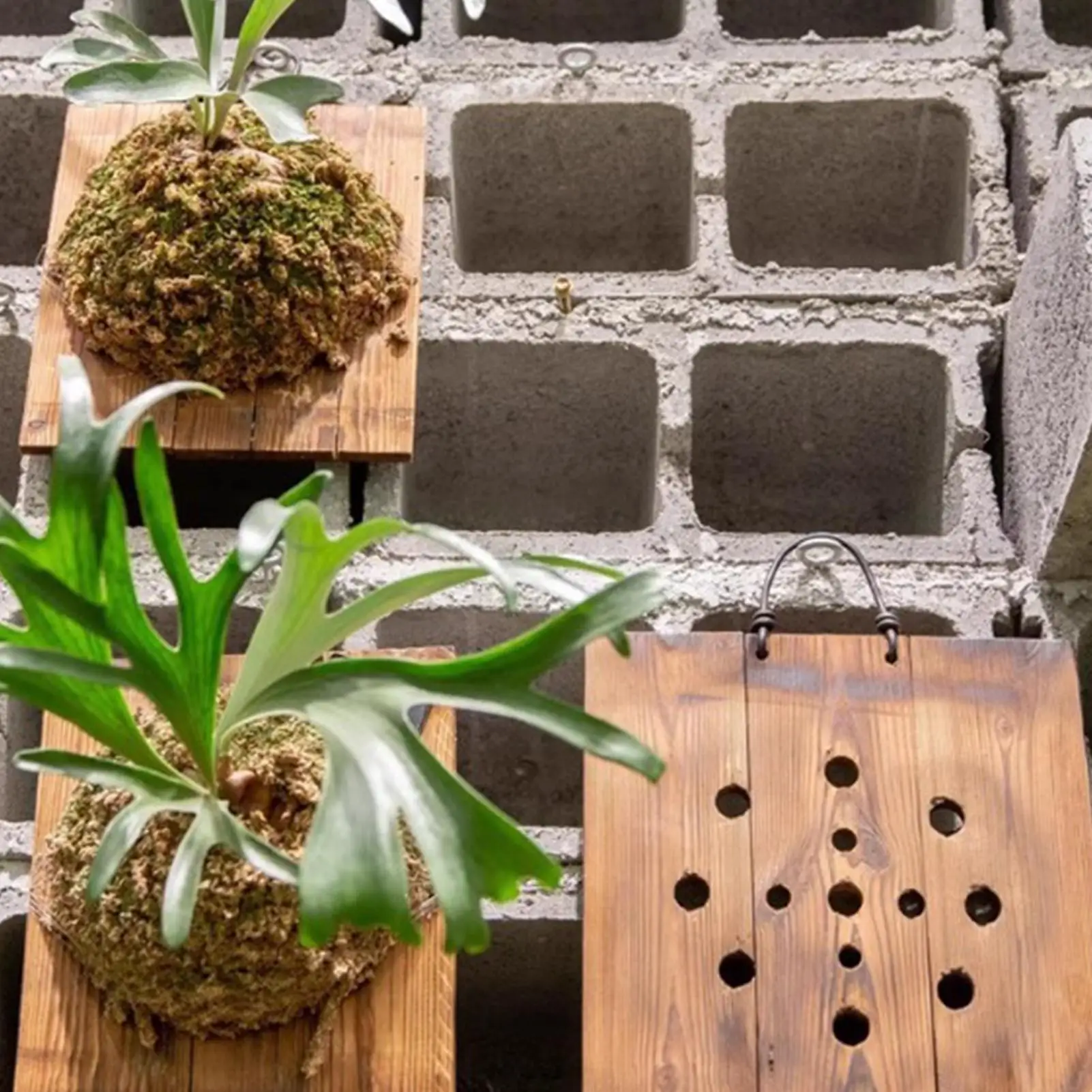 1 buah papan gantung tanaman h - Vertical Wall Planter ulasan dan harga
