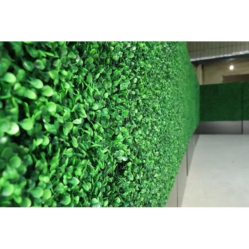 CQ-001 Taman Vertikal Ramah Li - Vertical Wall Planter ulasan dan harga